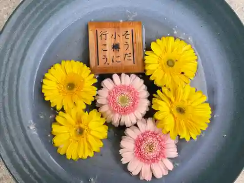 住吉神社の手水