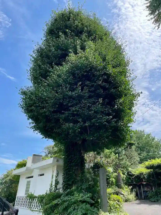 城願寺(神奈川県)