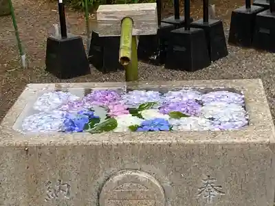 鶴岡八幡宮の手水舎