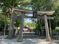 土佐神社の{uncategorized: "未分類", other: "その他", undefined: "問題あり", building: "その他建物", grave: "お墓", sacred_gate: "鳥居", guardian: "狛犬", statue: "像", buddha: "仏像", history: "歴史", nature: "自然", garden: "庭園", animal: "動物", pagoda: "塔", temizu: "手水舎", mountain_gate: "山門・神門", sanctuary: "本殿・本堂", subordinate: "末社・摂社", art: "芸術", scenery: "景色", jizo: "地蔵", ema: "絵馬", goshuin: "御朱印", omikuji: "おみくじ", items: "授与品その他", amulet: "お守り", goshuincho: "御朱印帳", eats: "食事", festival: "お祭り", votive_dance: "神楽", shichigosan: "七五三参", wedding: "結婚式", experience: "体験その他", initially: "初詣", around: "周辺", anti_infection: "感染症対策"}