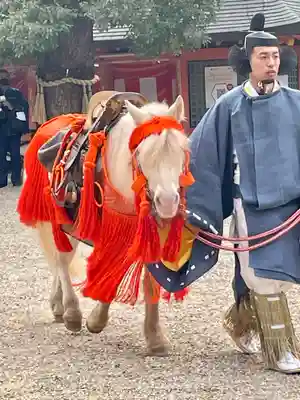 住吉大社(大阪府)