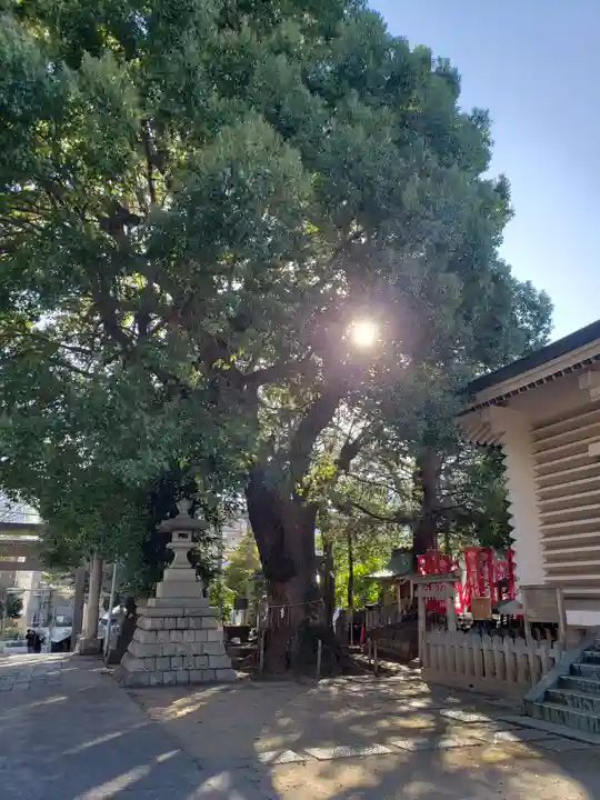 諏訪神社(東京都)