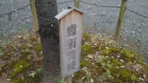 豊国神社のその他建物