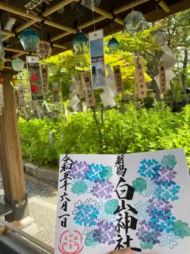 白山神社の御朱印
