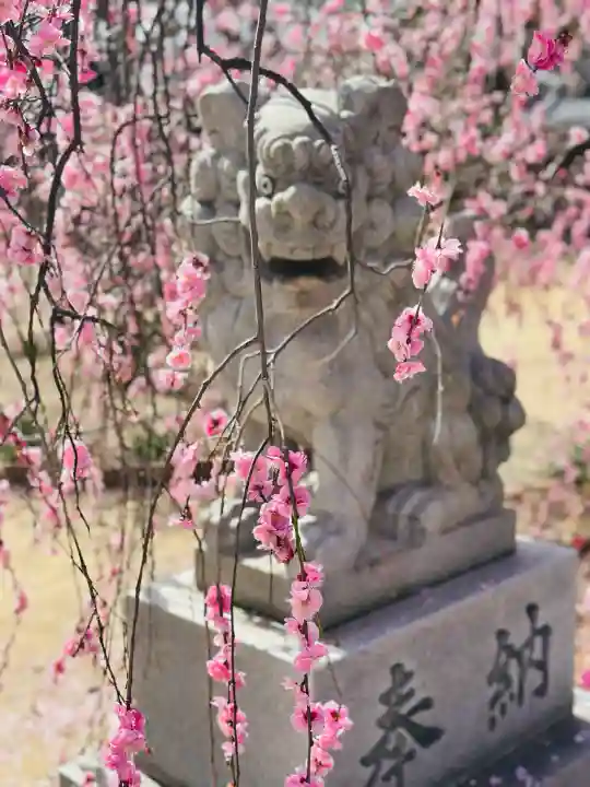 屯倉神社の{uncategorized: "未分類", other: "その他", undefined: "問題あり", building: "その他建物", grave: "お墓", sacred_gate: "鳥居", guardian: "狛犬", statue: "像", buddha: "仏像", history: "歴史", nature: "自然", garden: "庭園", animal: "動物", pagoda: "塔", temizu: "手水舎", mountain_gate: "山門・神門", sanctuary: "本殿・本堂", subordinate: "末社・摂社", art: "芸術", scenery: "景色", jizo: "地蔵", ema: "絵馬", goshuin: "御朱印", omikuji: "おみくじ", items: "授与品その他", amulet: "お守り", goshuincho: "御朱印帳", eats: "食事", festival: "お祭り", votive_dance: "神楽", shichigosan: "七五三参", wedding: "結婚式", experience: "体験その他", initially: "初詣", around: "周辺", anti_infection: "感染症対策"}