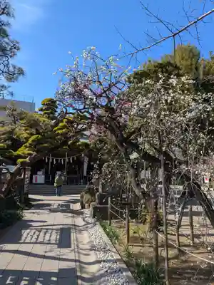 鳩森八幡神社(東京都)