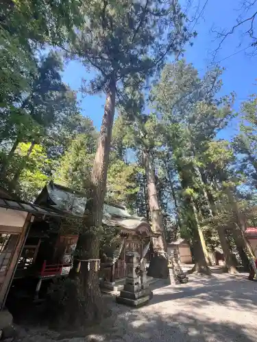 御杖神社の{uncategorized: "未分類", other: "その他", undefined: "問題あり", building: "その他建物", grave: "お墓", sacred_gate: "鳥居", guardian: "狛犬", statue: "像", buddha: "仏像", history: "歴史", nature: "自然", garden: "庭園", animal: "動物", pagoda: "塔", temizu: "手水舎", mountain_gate: "山門・神門", sanctuary: "本殿・本堂", subordinate: "末社・摂社", art: "芸術", scenery: "景色", jizo: "地蔵", ema: "絵馬", goshuin: "御朱印", omikuji: "おみくじ", items: "授与品その他", amulet: "お守り", goshuincho: "御朱印帳", eats: "食事", festival: "お祭り", votive_dance: "神楽", shichigosan: "七五三参", wedding: "結婚式", experience: "体験その他", initially: "初詣", around: "周辺", anti_infection: "感染症対策"}