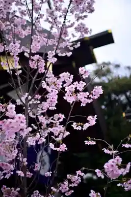 東京大神宮(東京都)