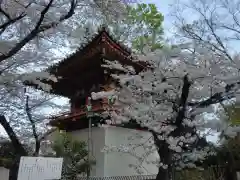 瀧泉寺（目黒不動尊）(東京都)