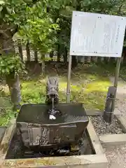 京都乃木神社の手水