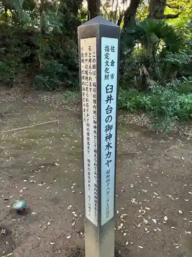 稲荷神社(千葉県)
