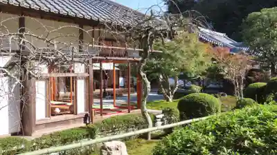 長壽寺（長寿寺）(神奈川県)