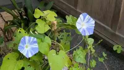 勝林寺(京都府)