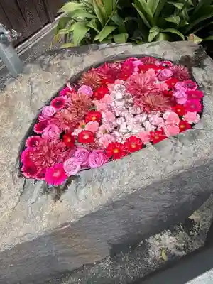 藤次寺(大阪府)