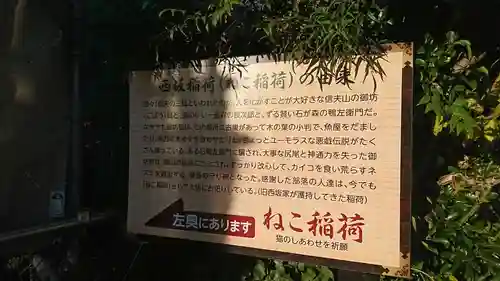 西坂ねこ稲荷神社の歴史