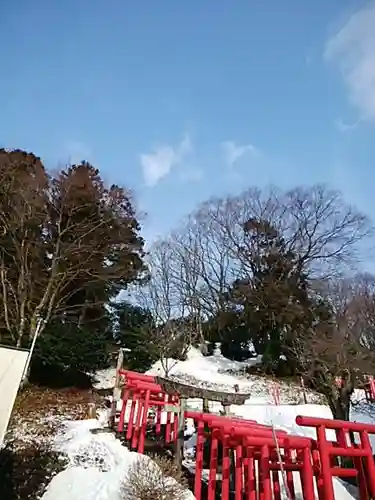 白狐山光星寺の鳥居