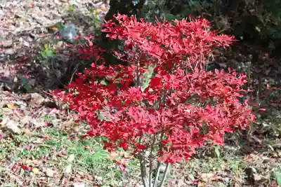 施福寺(大阪府)