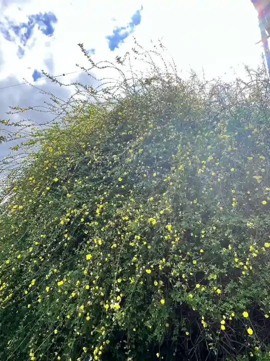 子安地蔵寺の{uncategorized: "未分類", other: "その他", undefined: "問題あり", building: "その他建物", grave: "お墓", sacred_gate: "鳥居", guardian: "狛犬", statue: "像", buddha: "仏像", history: "歴史", nature: "自然", garden: "庭園", animal: "動物", pagoda: "塔", temizu: "手水舎", mountain_gate: "山門・神門", sanctuary: "本殿・本堂", subordinate: "末社・摂社", art: "芸術", scenery: "景色", jizo: "地蔵", ema: "絵馬", goshuin: "御朱印", omikuji: "おみくじ", items: "授与品その他", amulet: "お守り", goshuincho: "御朱印帳", eats: "食事", festival: "お祭り", votive_dance: "神楽", shichigosan: "七五三参", wedding: "結婚式", experience: "体験その他", initially: "初詣", around: "周辺", anti_infection: "感染症対策"}