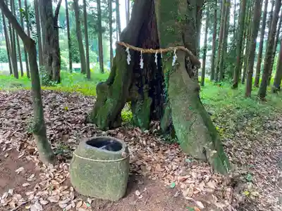 立野神社の手水舎