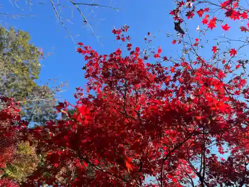 善水寺(滋賀県)