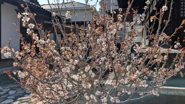 雲祥寺(愛媛県)