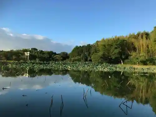 牟禮山観音禅寺の周辺