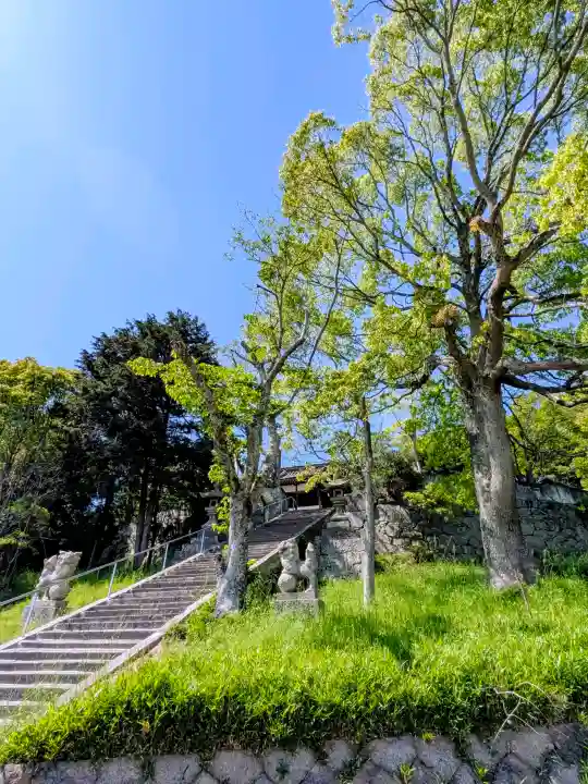 磐岩神社の{uncategorized: "未分類", other: "その他", undefined: "問題あり", building: "その他建物", grave: "お墓", sacred_gate: "鳥居", guardian: "狛犬", statue: "像", buddha: "仏像", history: "歴史", nature: "自然", garden: "庭園", animal: "動物", pagoda: "塔", temizu: "手水舎", mountain_gate: "山門・神門", sanctuary: "本殿・本堂", subordinate: "末社・摂社", art: "芸術", scenery: "景色", jizo: "地蔵", ema: "絵馬", goshuin: "御朱印", omikuji: "おみくじ", items: "授与品その他", amulet: "お守り", goshuincho: "御朱印帳", eats: "食事", festival: "お祭り", votive_dance: "神楽", shichigosan: "七五三参", wedding: "結婚式", experience: "体験その他", initially: "初詣", around: "周辺", anti_infection: "感染症対策"}