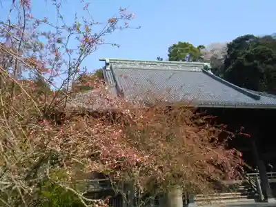 妙本寺の本殿・本堂