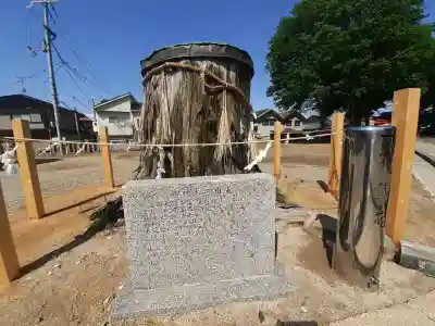 渋川神社の{uncategorized: "未分類", other: "その他", undefined: "問題あり", building: "その他建物", grave: "お墓", sacred_gate: "鳥居", guardian: "狛犬", statue: "像", buddha: "仏像", history: "歴史", nature: "自然", garden: "庭園", animal: "動物", pagoda: "塔", temizu: "手水舎", mountain_gate: "山門・神門", sanctuary: "本殿・本堂", subordinate: "末社・摂社", art: "芸術", scenery: "景色", jizo: "地蔵", ema: "絵馬", goshuin: "御朱印", omikuji: "おみくじ", items: "授与品その他", amulet: "お守り", goshuincho: "御朱印帳", eats: "食事", festival: "お祭り", votive_dance: "神楽", shichigosan: "七五三参", wedding: "結婚式", experience: "体験その他", initially: "初詣", around: "周辺", anti_infection: "感染症対策"}