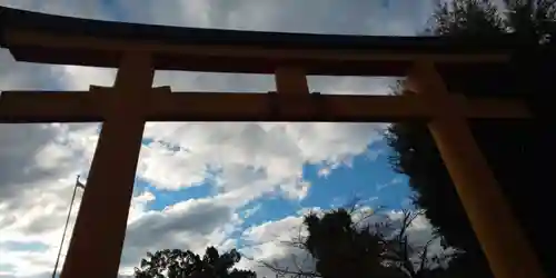 平野神社の鳥居