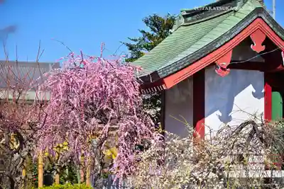 亀戸天神社(東京都)