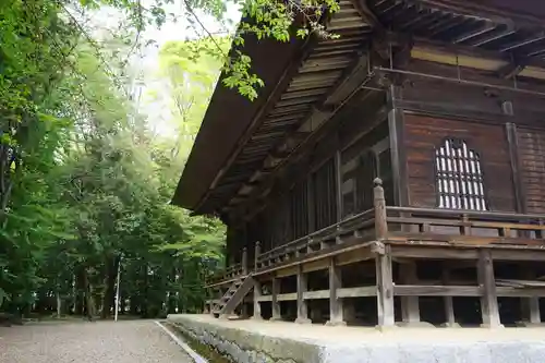専修寺の本殿・本堂