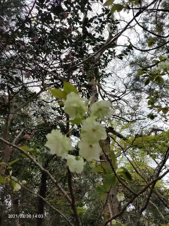 息栖神社の自然