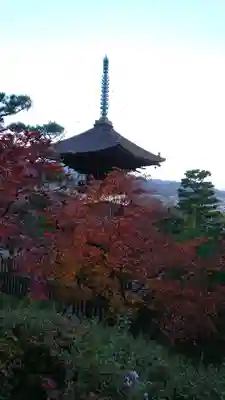 常寂光寺(京都府)