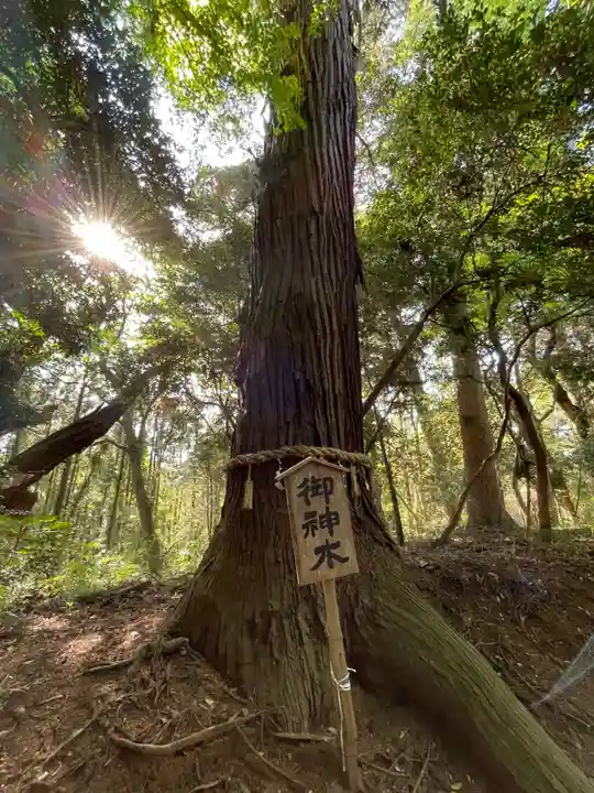 天満神社(千葉県)