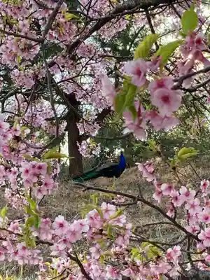 楽法寺（雨引観音）(茨城県)