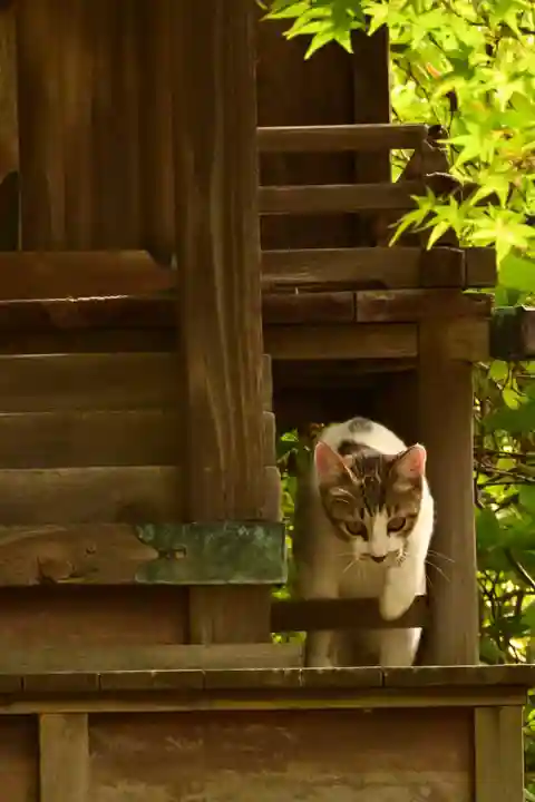 城上神社(島根県)