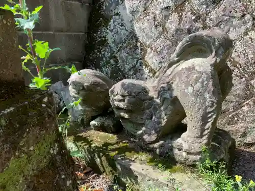 沢湯泉神社の狛犬
