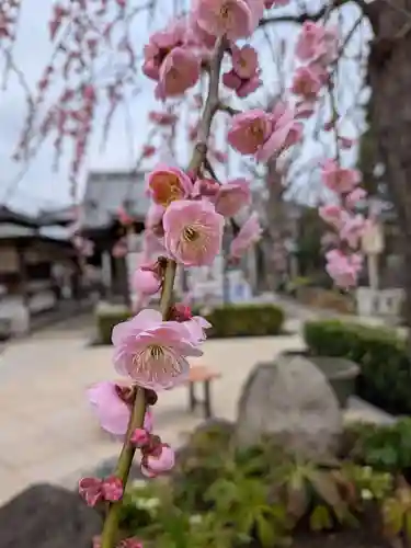 常性寺(東京都)
