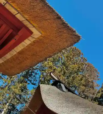 賀茂神社の{uncategorized: "未分類", other: "その他", undefined: "問題あり", building: "その他建物", grave: "お墓", sacred_gate: "鳥居", guardian: "狛犬", statue: "像", buddha: "仏像", history: "歴史", nature: "自然", garden: "庭園", animal: "動物", pagoda: "塔", temizu: "手水舎", mountain_gate: "山門・神門", sanctuary: "本殿・本堂", subordinate: "末社・摂社", art: "芸術", scenery: "景色", jizo: "地蔵", ema: "絵馬", goshuin: "御朱印", omikuji: "おみくじ", items: "授与品その他", amulet: "お守り", goshuincho: "御朱印帳", eats: "食事", festival: "お祭り", votive_dance: "神楽", shichigosan: "七五三参", wedding: "結婚式", experience: "体験その他", initially: "初詣", around: "周辺", anti_infection: "感染症対策"}