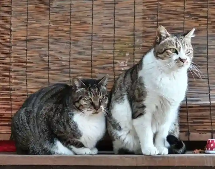阿邪訶根神社(福島県)