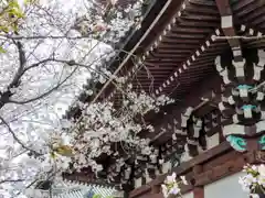 本法寺(京都府)