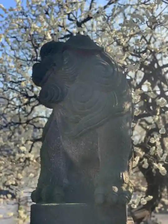 薭田神社の狛犬