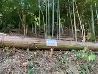 牟禮山観音禅寺の自然