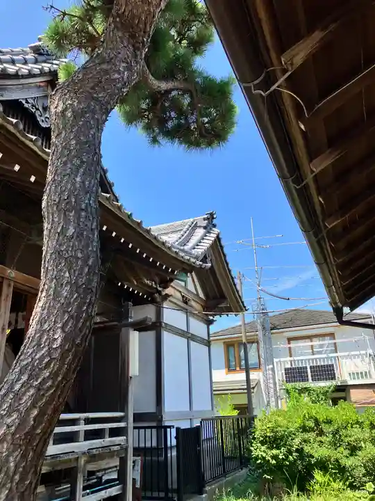 太田神社(東京都)