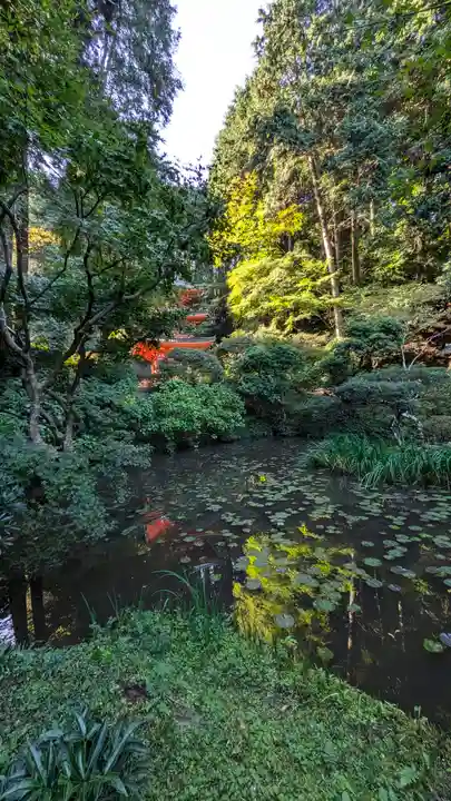 岩船寺(京都府)