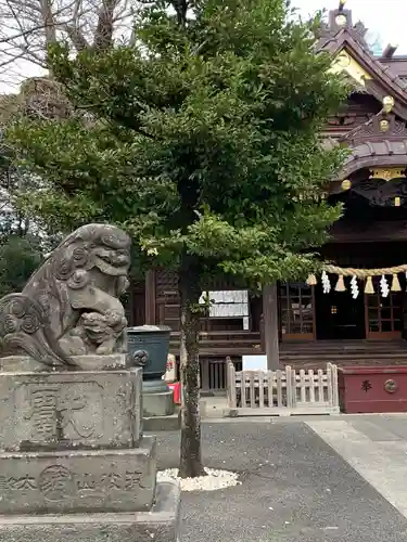 玉敷神社の本殿