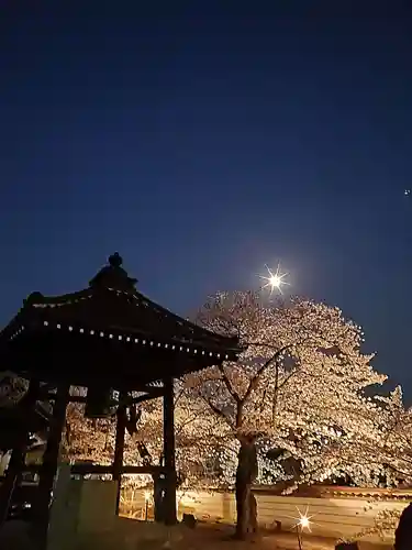 如宝寺(福島県)