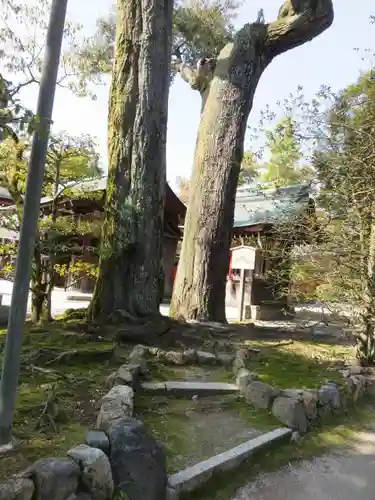 敷地神社（わら天神宮）の自然