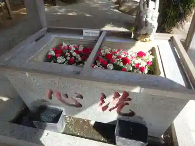 比々多神社の手水舎